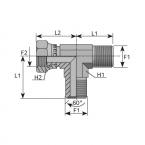  TE TBSP X MBSP X MBSP1 