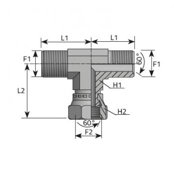  TE MBSP X TBSP X MBSP1/2 