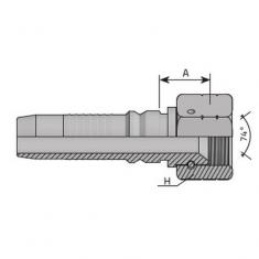  HA19TJ1 1/16 VITI 